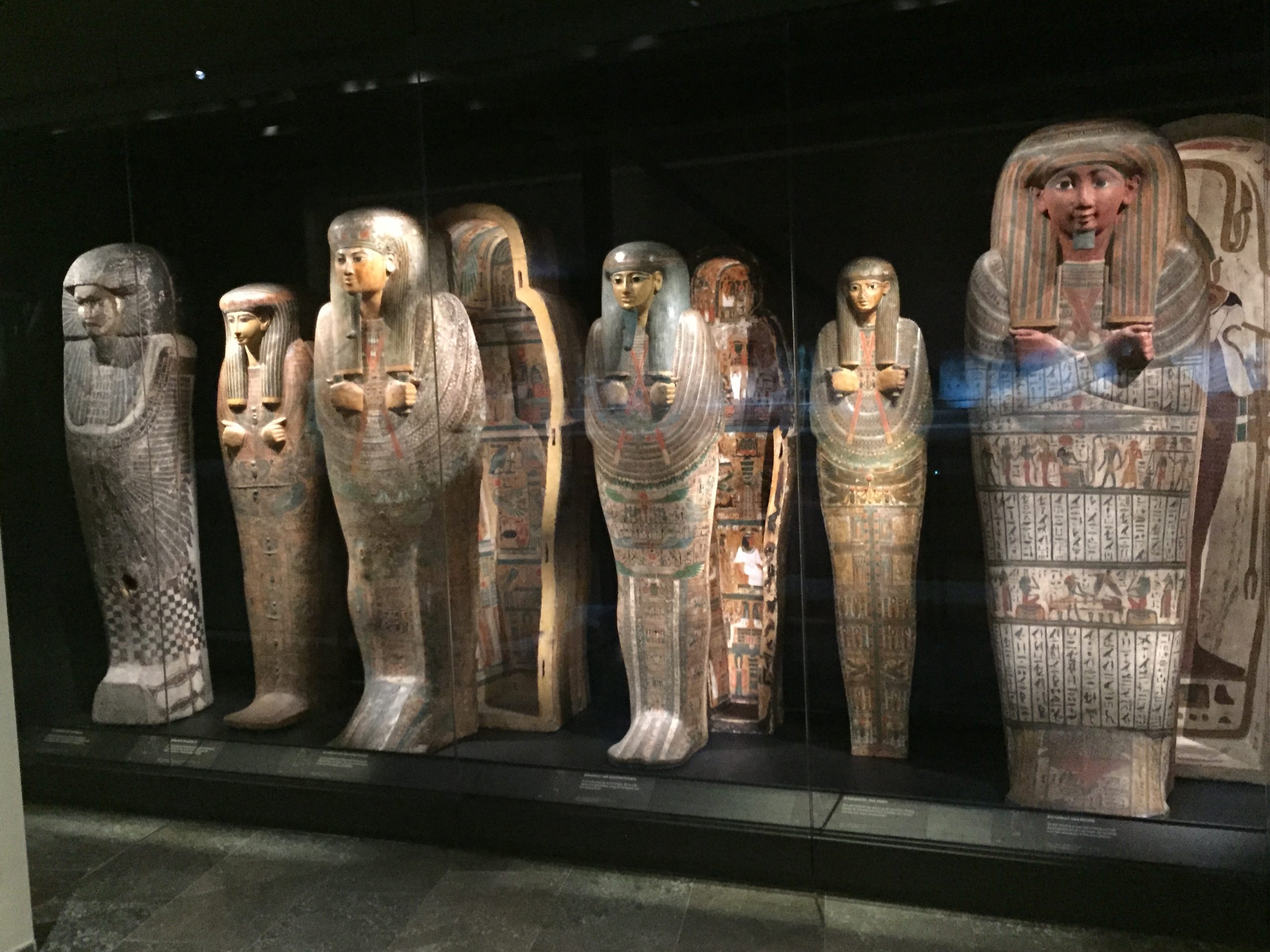 متحف أوكلاند في نيوزيلندا يتألق بتحف المصر القديمة: استكشاف روعة التاريخ الفرعوني